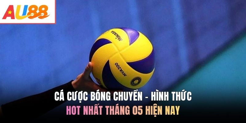Cá cược bóng chuyền - Hình thức hot nhất tháng 05 hiện nay