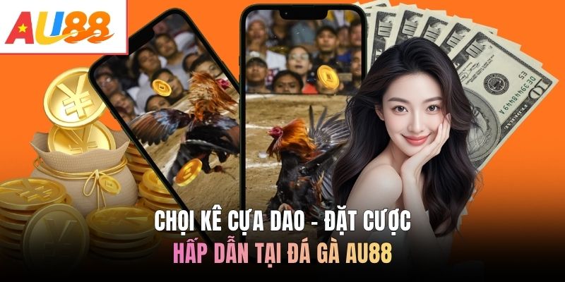 Chọi kê cựa dao - Đặt cược hấp dẫn tại đá gà AU88