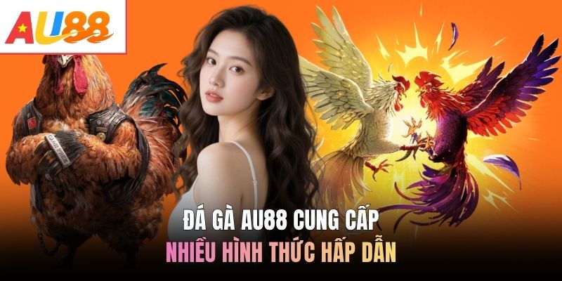 Đá gà AU88 cung cấp nhiều hình thức hấp dẫn