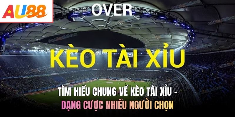 Tìm hiểu chung về kèo tài xỉu - Dạng cược nhiều người chọn